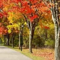 The Best Autumn Foliage Is In Upstate New York